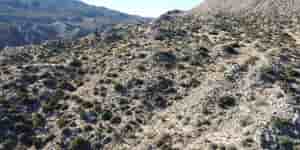 Santa Rosa
